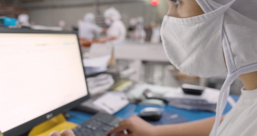 Com investimento milionário, Mast Pet e Mastig aumentarão sua produção neste ano