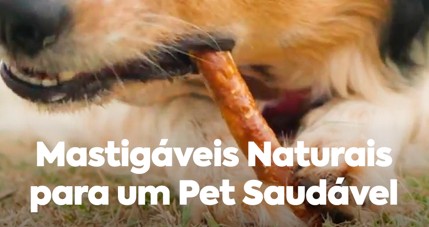 Mastigáveis para Pets: Combate à Obesidade com Qualidade e Bem-Estar